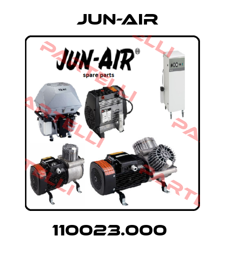 110023.000  Jun-Air
