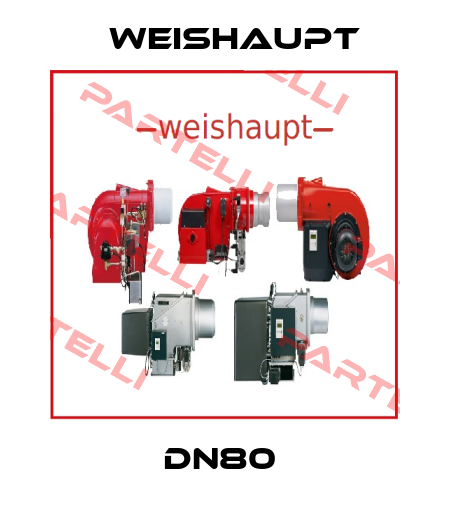 DN80  Weishaupt
