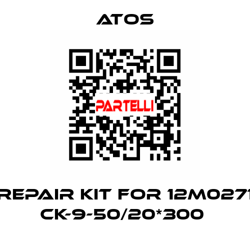 REPAIR KIT FOR 12M0271 CK-9-50/20*300  Atos