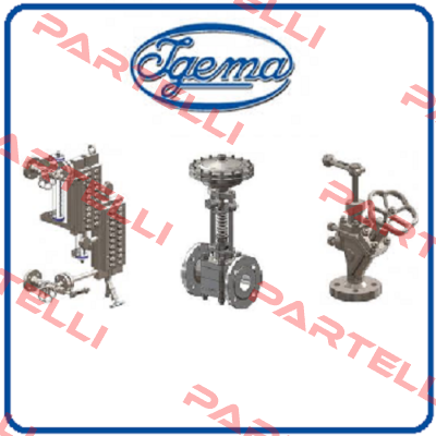 70-00005 (D-04-D-19466-1)  Igema