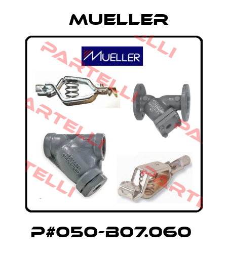 P#050-b07.060  Mueller