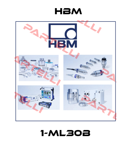 1-ML30B Hbm