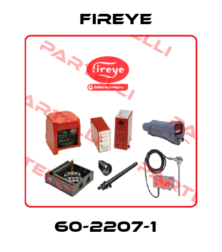 60-2207-1   Fireye