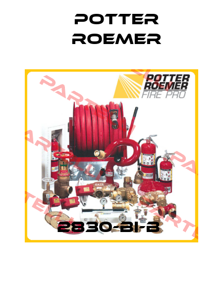 2830-BI-B  Potter Roemer