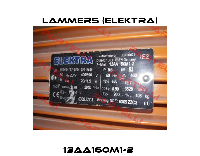13AA160M1-2  Lammers (Elektra)