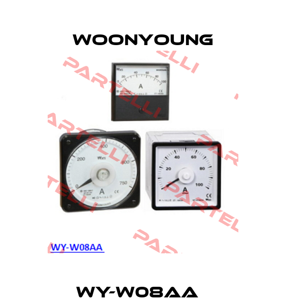 WY-W08AA   WOONYOUNG