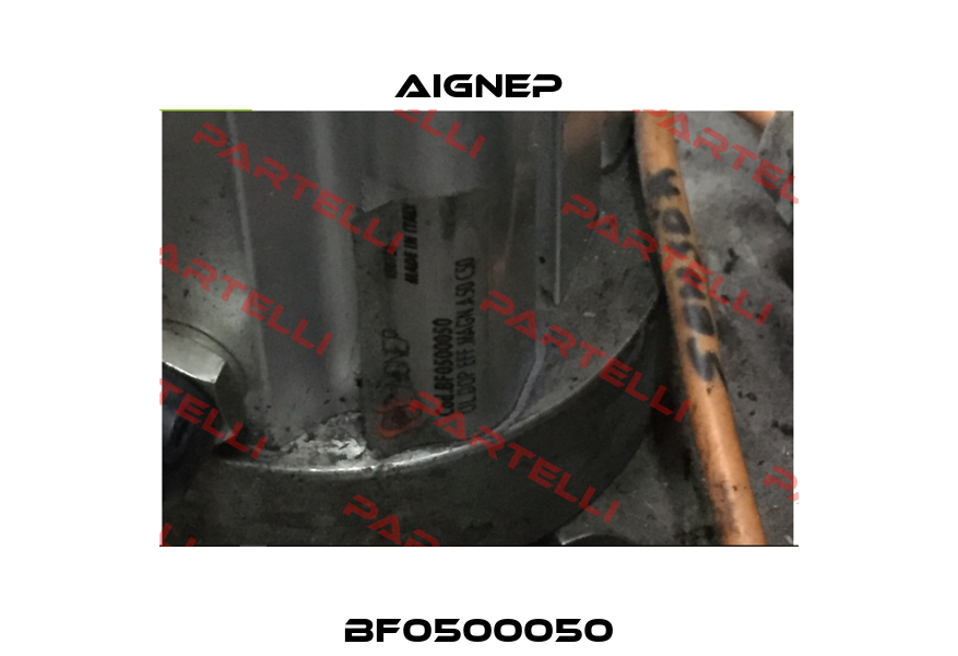 BF0500050 Aignep