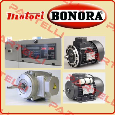 Bonora Ersatzmotor f. K05MS S/N: F59016 Bonora