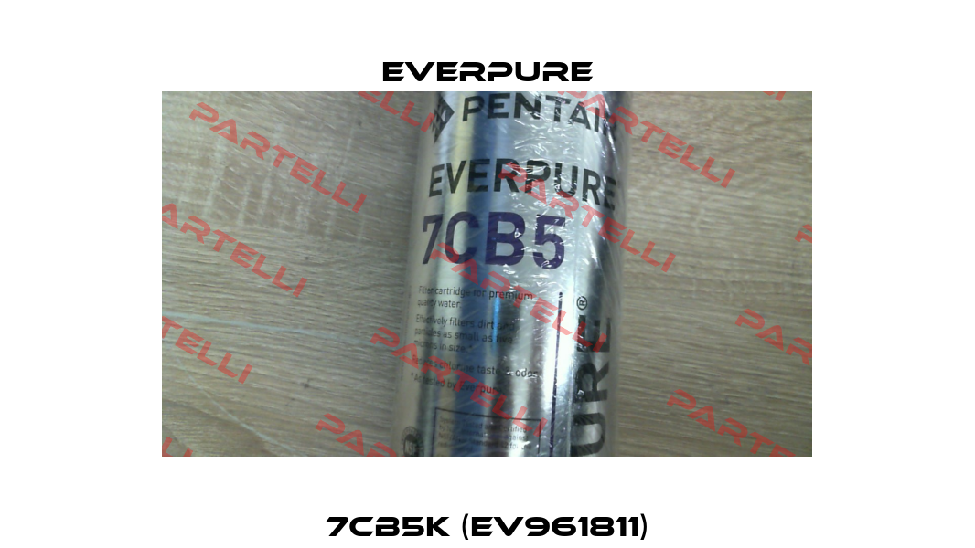 7CB5K (EV961811) Everpure