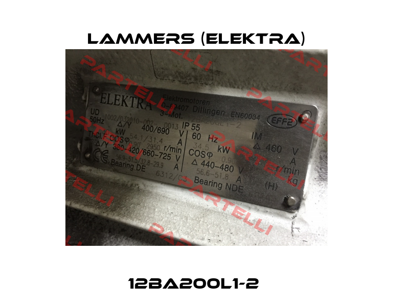 12BA200L1-2  Lammers (Elektra)