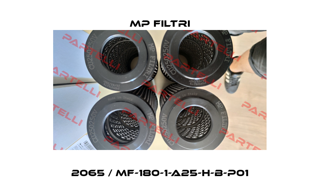 2065 / MF-180-1-A25-H-B-P01 MP Filtri