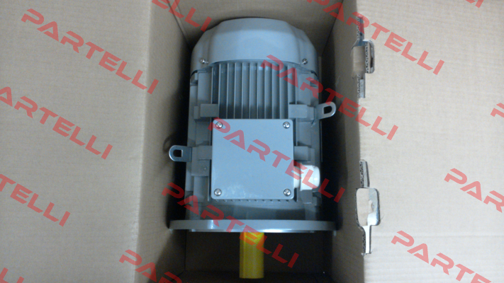 FCPA 132S-6 /PHE AC Motoren