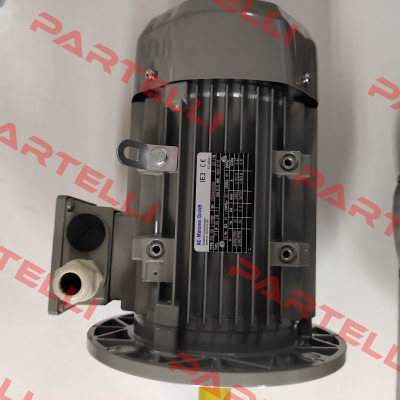 FCA 100 L 2 /PHE AC Motoren