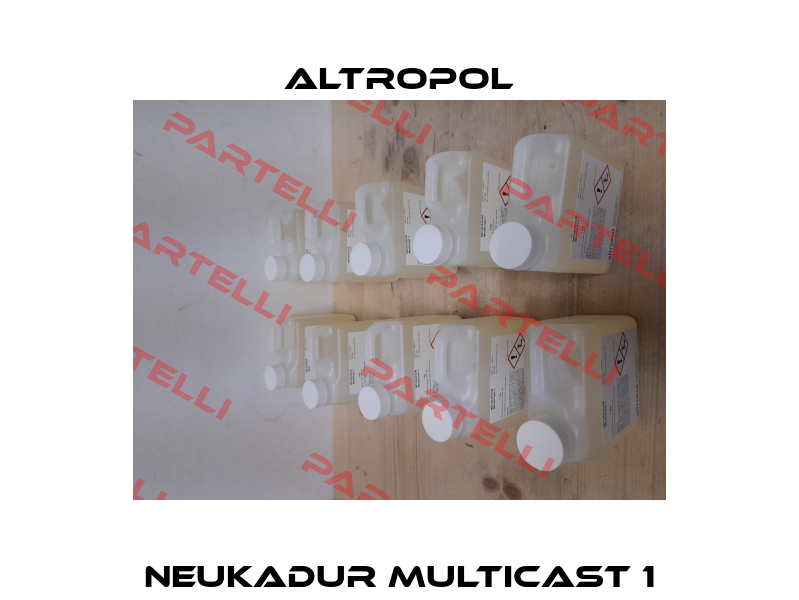 NEUKADUR MultiCast 1 Altropol